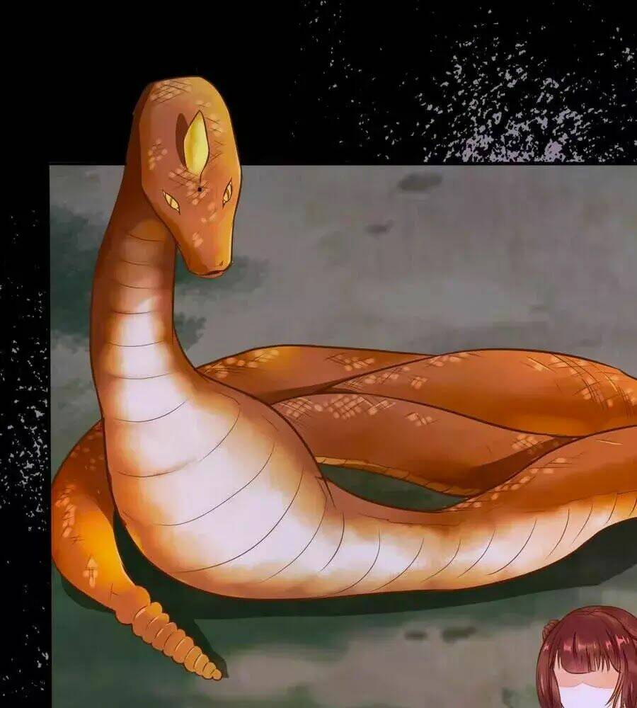 Thần Y Khí Nữ: Ngự Thú Cuồng Phi Của Quỷ Đế - Chapter 69 - Page 86