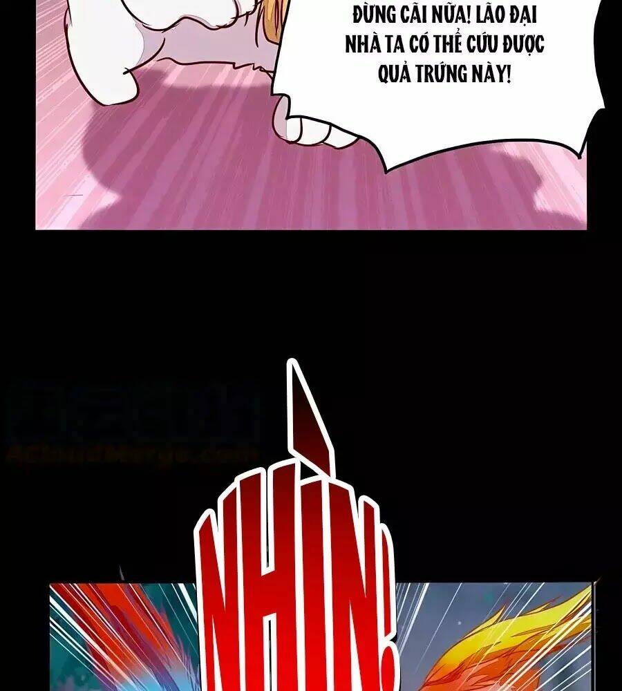 Thần Y Khí Nữ: Ngự Thú Cuồng Phi Của Quỷ Đế - Chapter 70 - Page 11