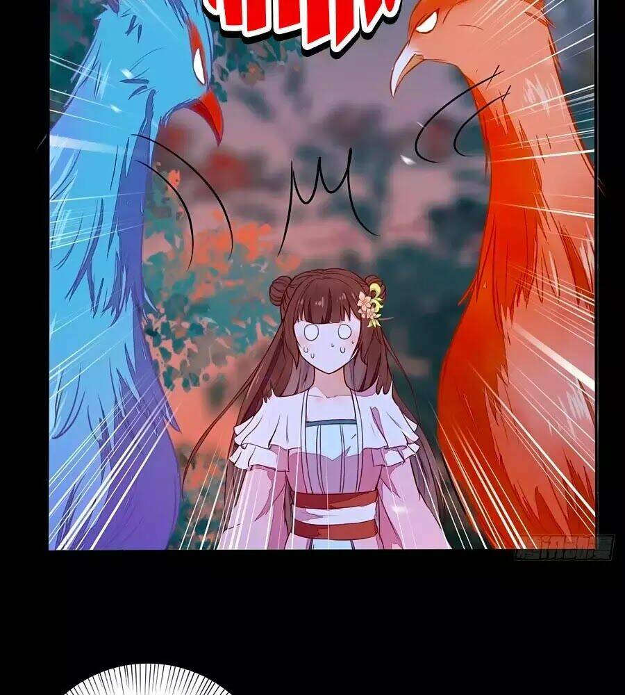 Thần Y Khí Nữ: Ngự Thú Cuồng Phi Của Quỷ Đế - Chapter 70 - Page 12