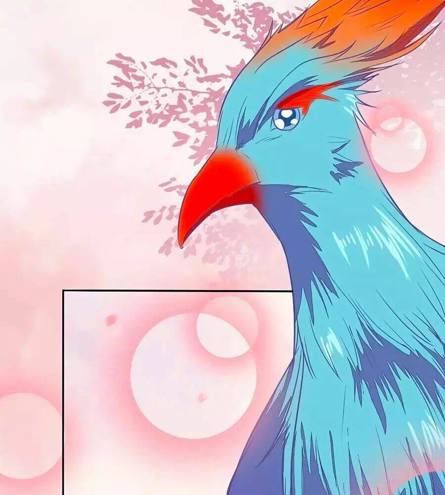 Thần Y Khí Nữ: Ngự Thú Cuồng Phi Của Quỷ Đế - Chapter 70 - Page 15