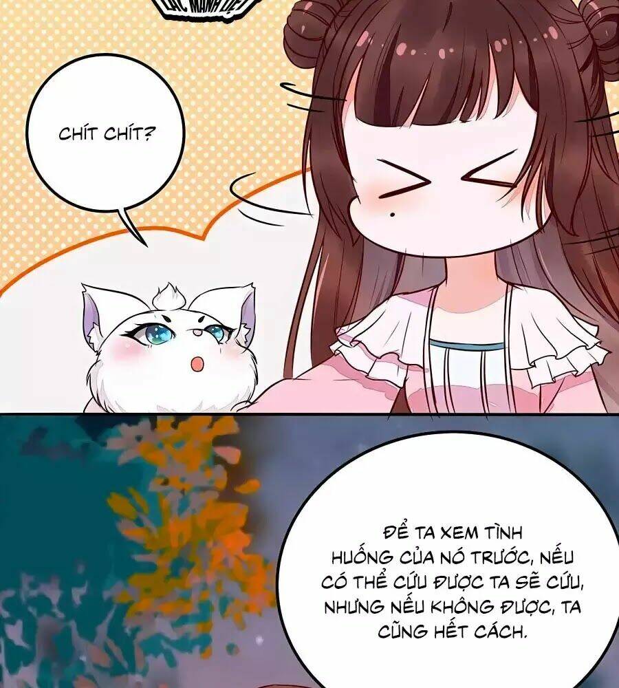 Thần Y Khí Nữ: Ngự Thú Cuồng Phi Của Quỷ Đế - Chapter 70 - Page 21