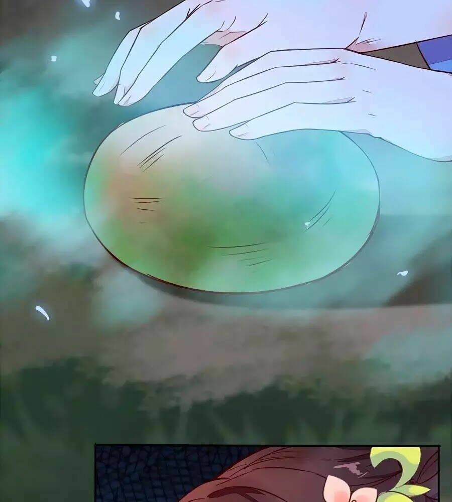 Thần Y Khí Nữ: Ngự Thú Cuồng Phi Của Quỷ Đế - Chapter 70 - Page 25