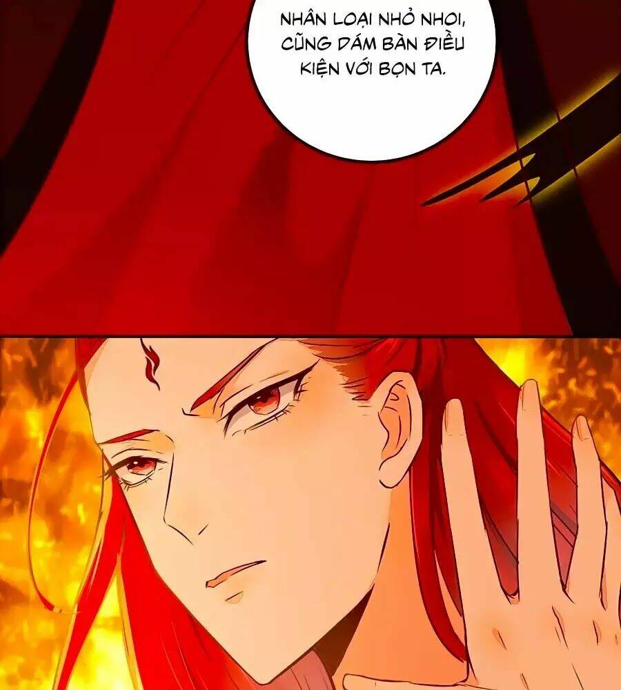 Thần Y Khí Nữ: Ngự Thú Cuồng Phi Của Quỷ Đế - Chapter 70 - Page 41