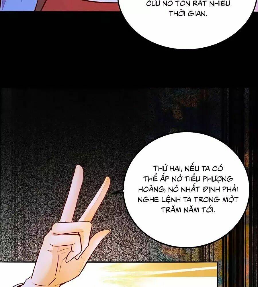 Thần Y Khí Nữ: Ngự Thú Cuồng Phi Của Quỷ Đế - Chapter 70 - Page 48