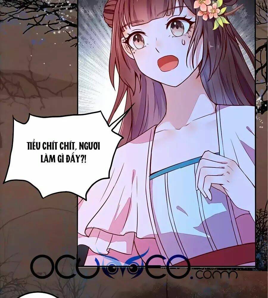 Thần Y Khí Nữ: Ngự Thú Cuồng Phi Của Quỷ Đế - Chapter 70 - Page 4