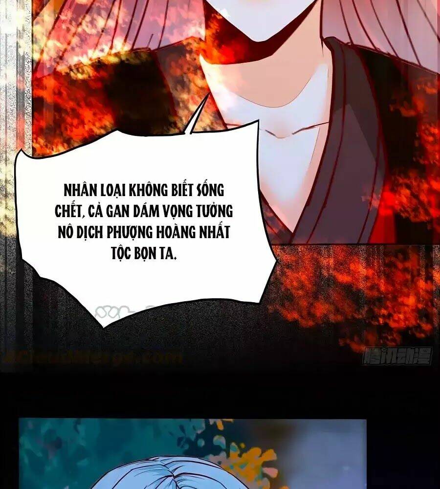 Thần Y Khí Nữ: Ngự Thú Cuồng Phi Của Quỷ Đế - Chapter 70 - Page 52