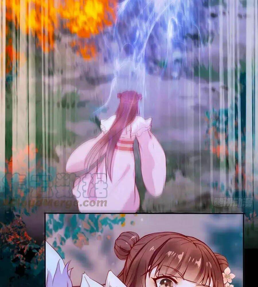 Thần Y Khí Nữ: Ngự Thú Cuồng Phi Của Quỷ Đế - Chapter 71 - Page 13