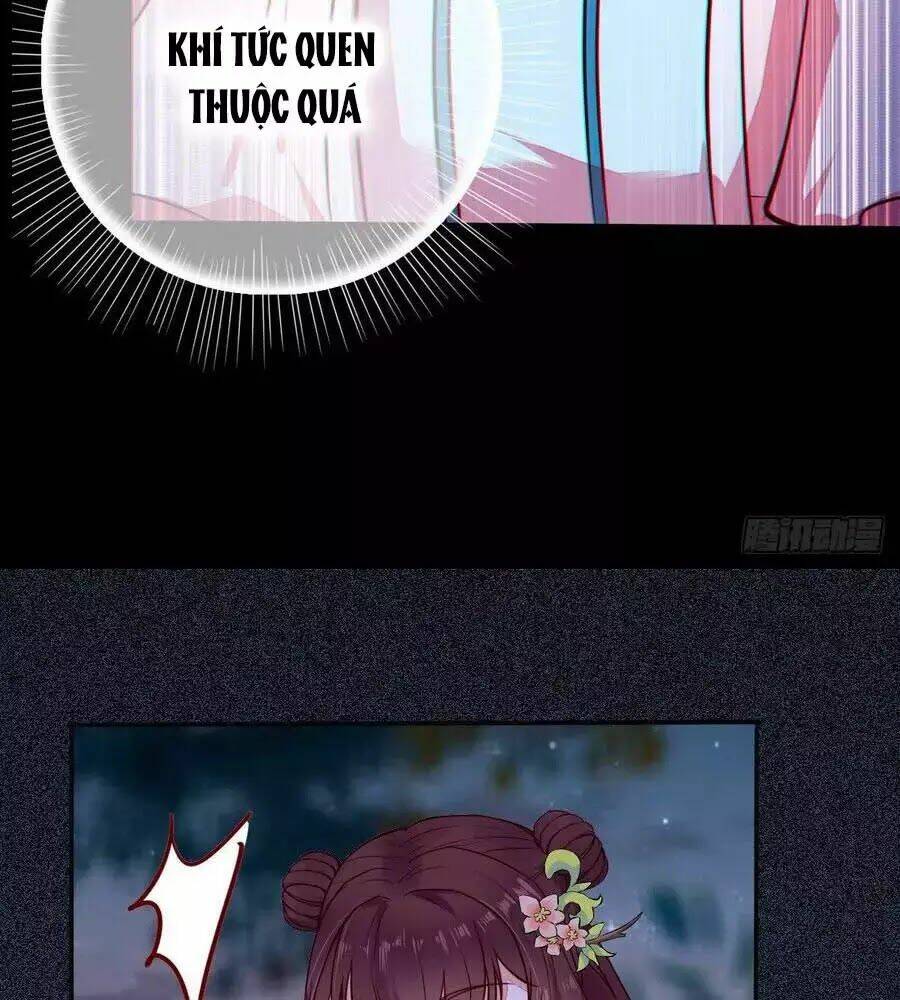 Thần Y Khí Nữ: Ngự Thú Cuồng Phi Của Quỷ Đế - Chapter 71 - Page 75