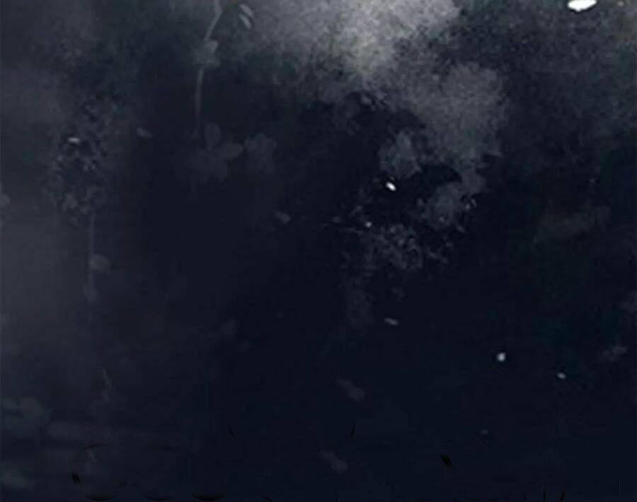 Thần Y Khí Nữ: Ngự Thú Cuồng Phi Của Quỷ Đế - Chapter 90 - Page 7