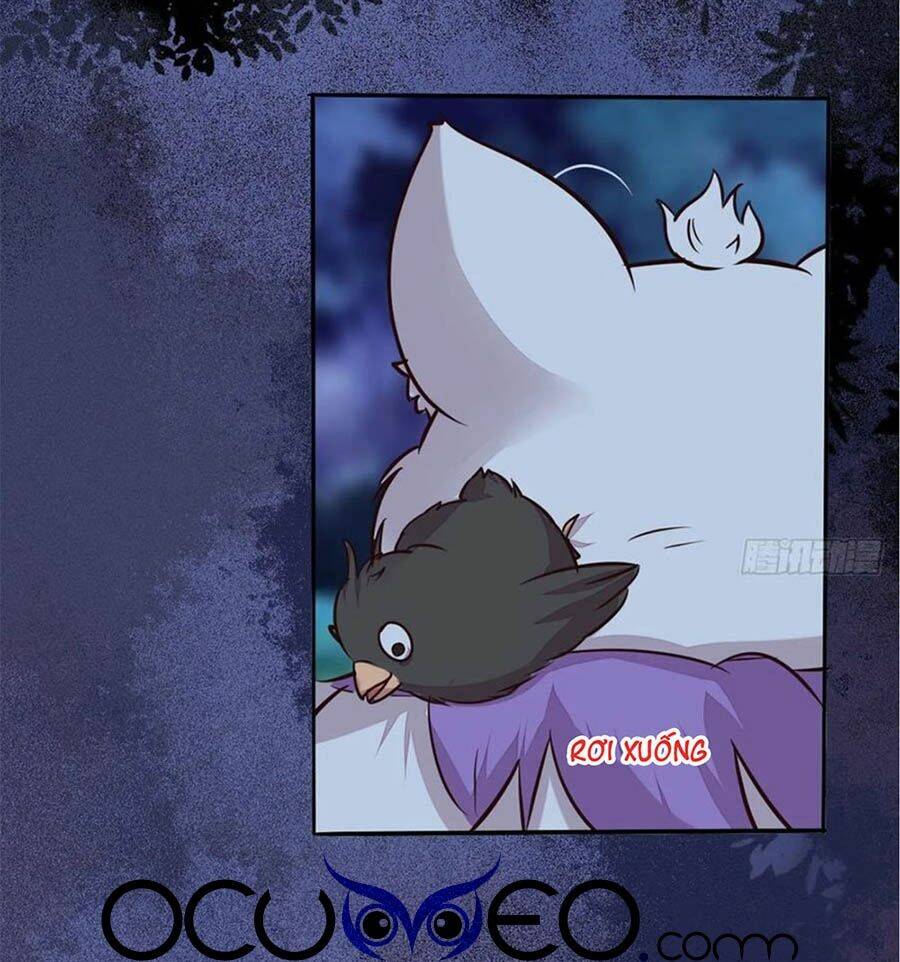 Thần Y Khí Nữ: Ngự Thú Cuồng Phi Của Quỷ Đế - Chapter 96 - Page 11