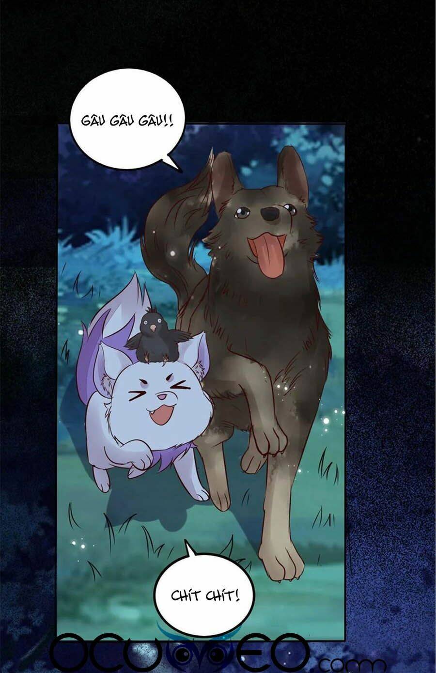 Thần Y Khí Nữ: Ngự Thú Cuồng Phi Của Quỷ Đế - Chapter 96 - Page 5