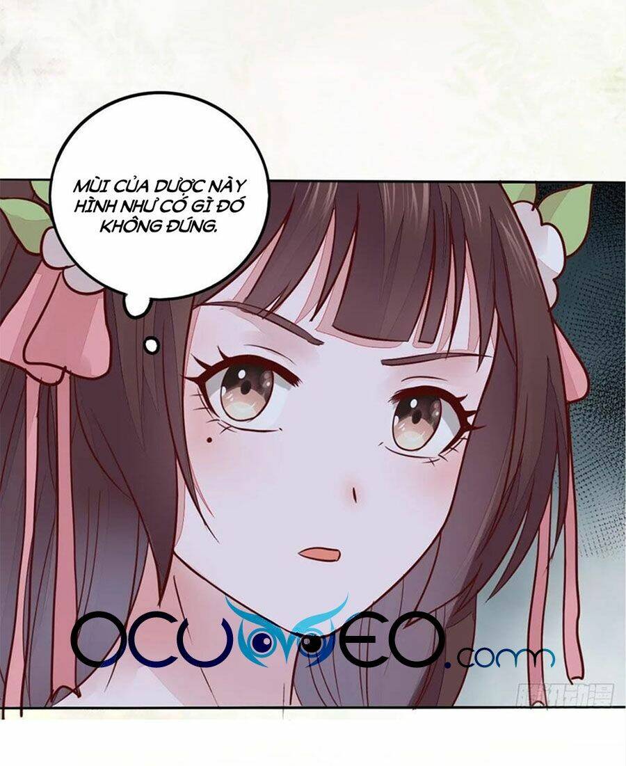 Thần Y Khí Nữ: Ngự Thú Cuồng Phi Của Quỷ Đế - Chapter 98 - Page 19