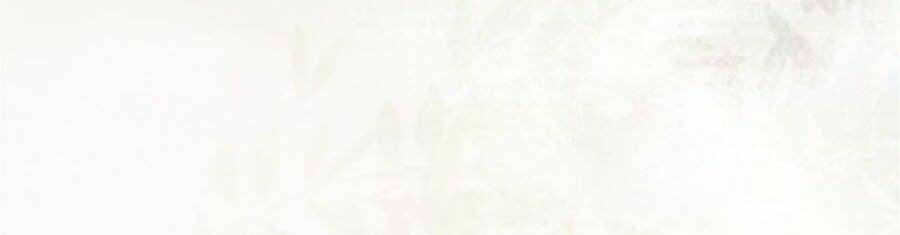 Thần Y Khí Nữ: Ngự Thú Cuồng Phi Của Quỷ Đế - Chapter 99 - Page 19