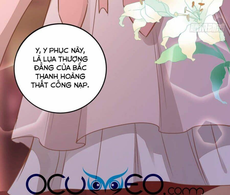 Thần Y Khí Nữ: Ngự Thú Cuồng Phi Của Quỷ Đế - Chapter 99 - Page 25