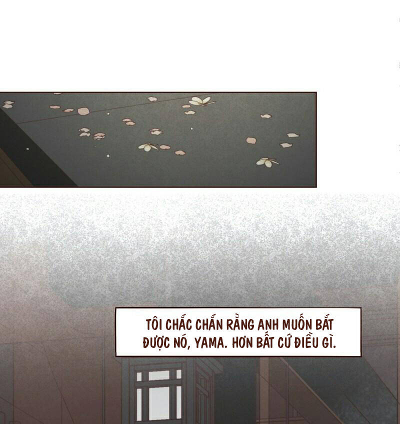 Vận Mệnh Không Mắc Sai Lầm - Chapter 61 - Page 12