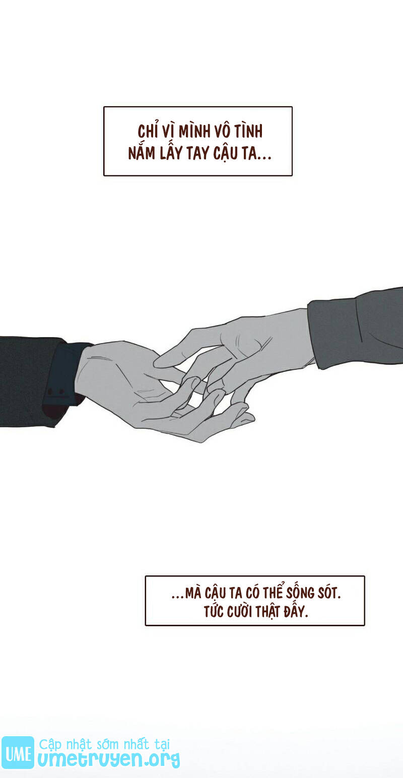 Vận Mệnh Không Mắc Sai Lầm - Chapter 61 - Page 28