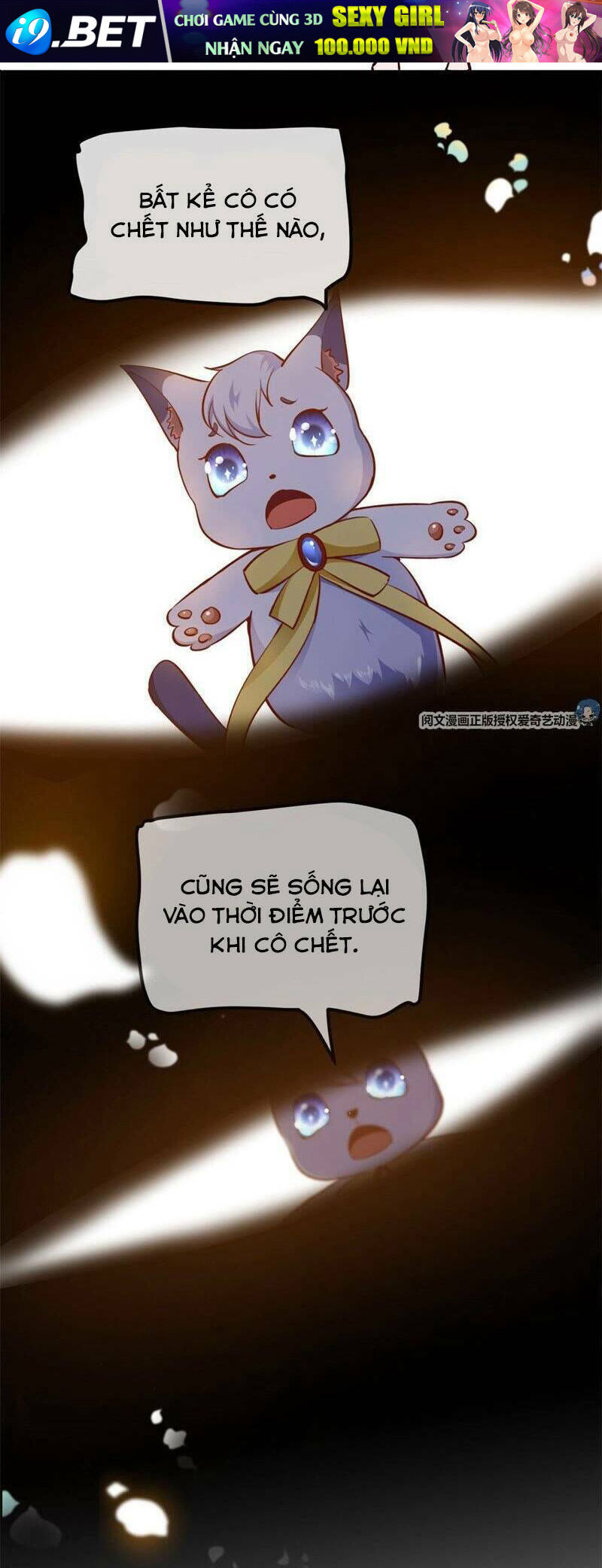 Xuyên Nhanh Đại Lão Ta Chỉ Muốn Phá Sản - Chapter 1 - Page 12