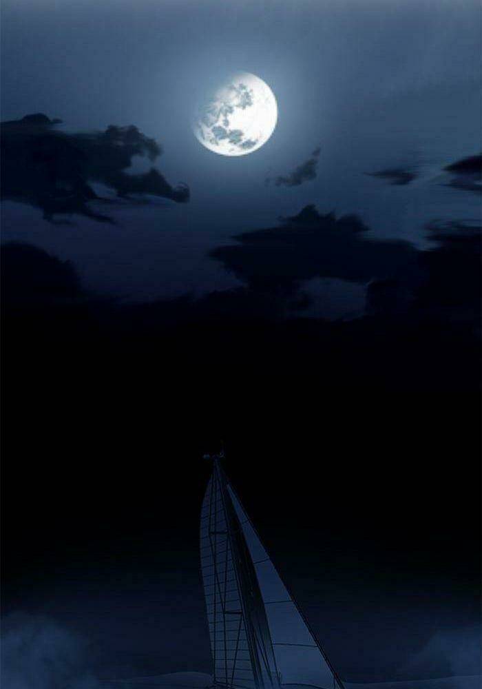 Khúc hát người cá Siren - Chapter 80 - Page 13