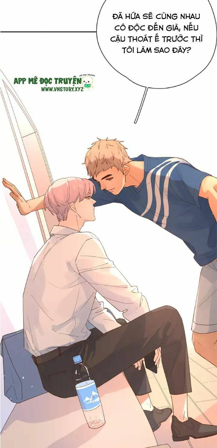 Cạm Bẫy Ngọt Ngào - Chapter 107 - Page 19