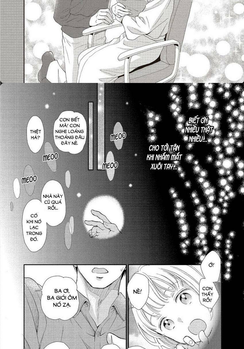 Cô mèo con của sếp nhà tôi - Chapter 28.5 - Page 12