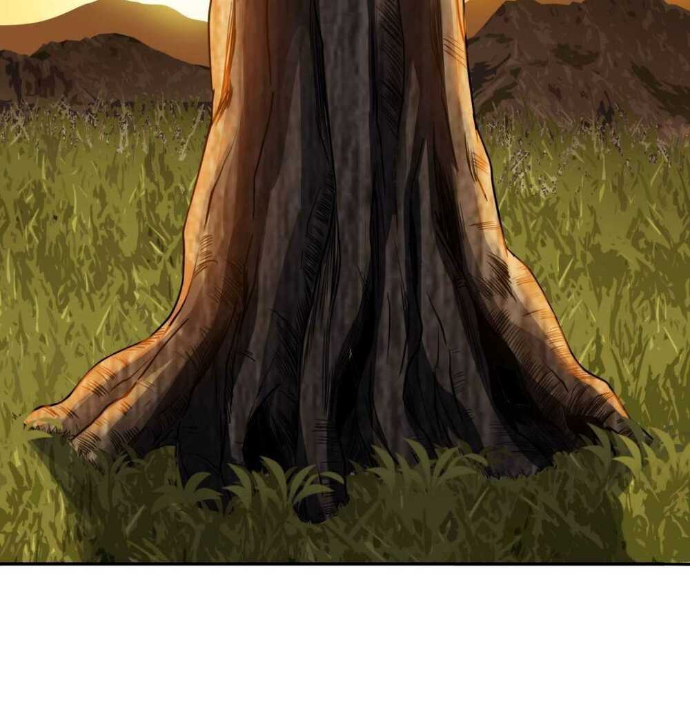 Vẫn Tinh Vương Triều - Chapter 5 - Page 12