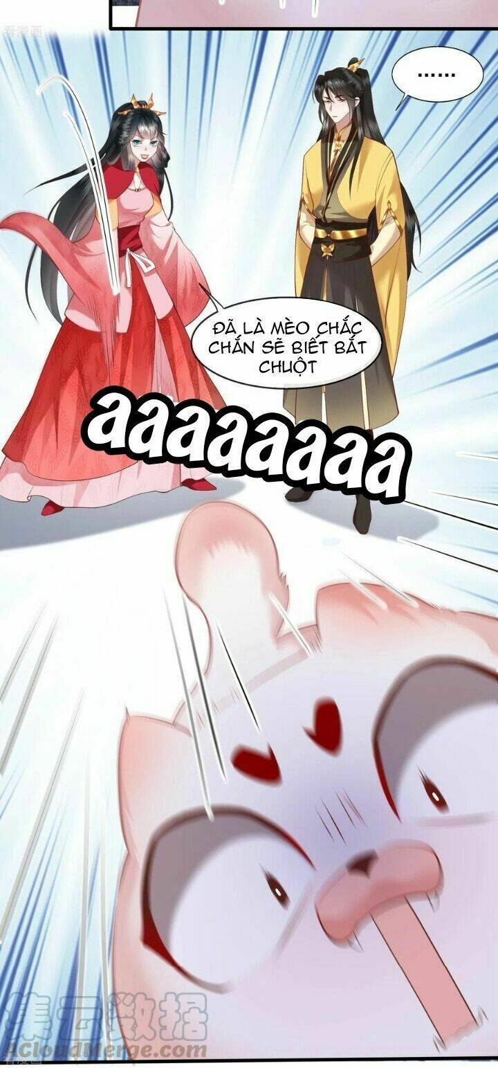 Con Đường Hoang Dã Của Vương Phi Chapter 35 - Trang 13