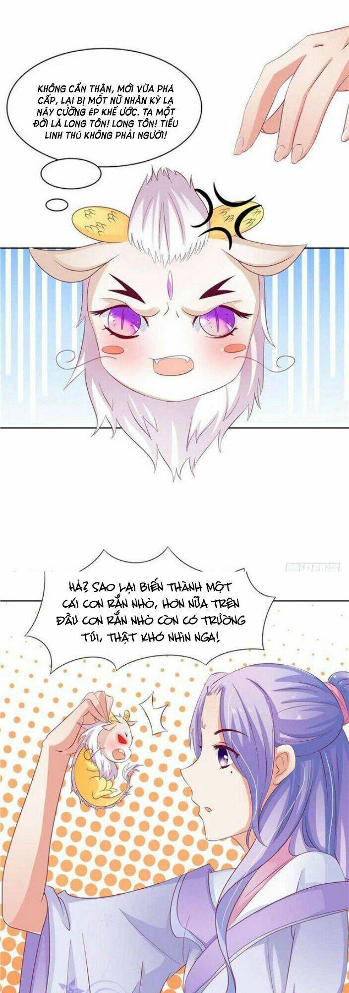 Nghịch Thiên Độc Y: Long Tôn Cầu Buông Ra - Chapter 5 - Page 4