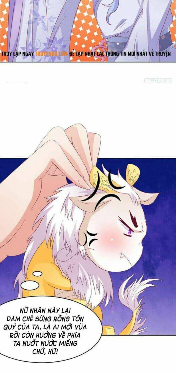 Nghịch Thiên Độc Y: Long Tôn Cầu Buông Ra - Chapter 5 - Page 5