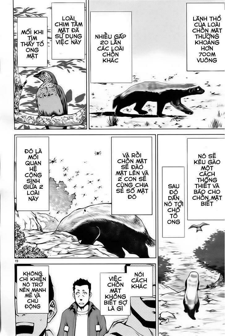 Killing Bites - Chapter 6 - Page 17