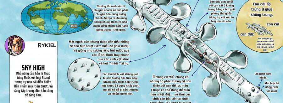 Cuộc Phiêu Lưu Bí Ẩn Chapter 710 - Trang 10