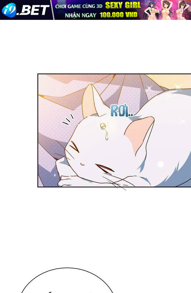 Nàng Elizabeth Thuần Khiết - Chapter 40 - Page 35