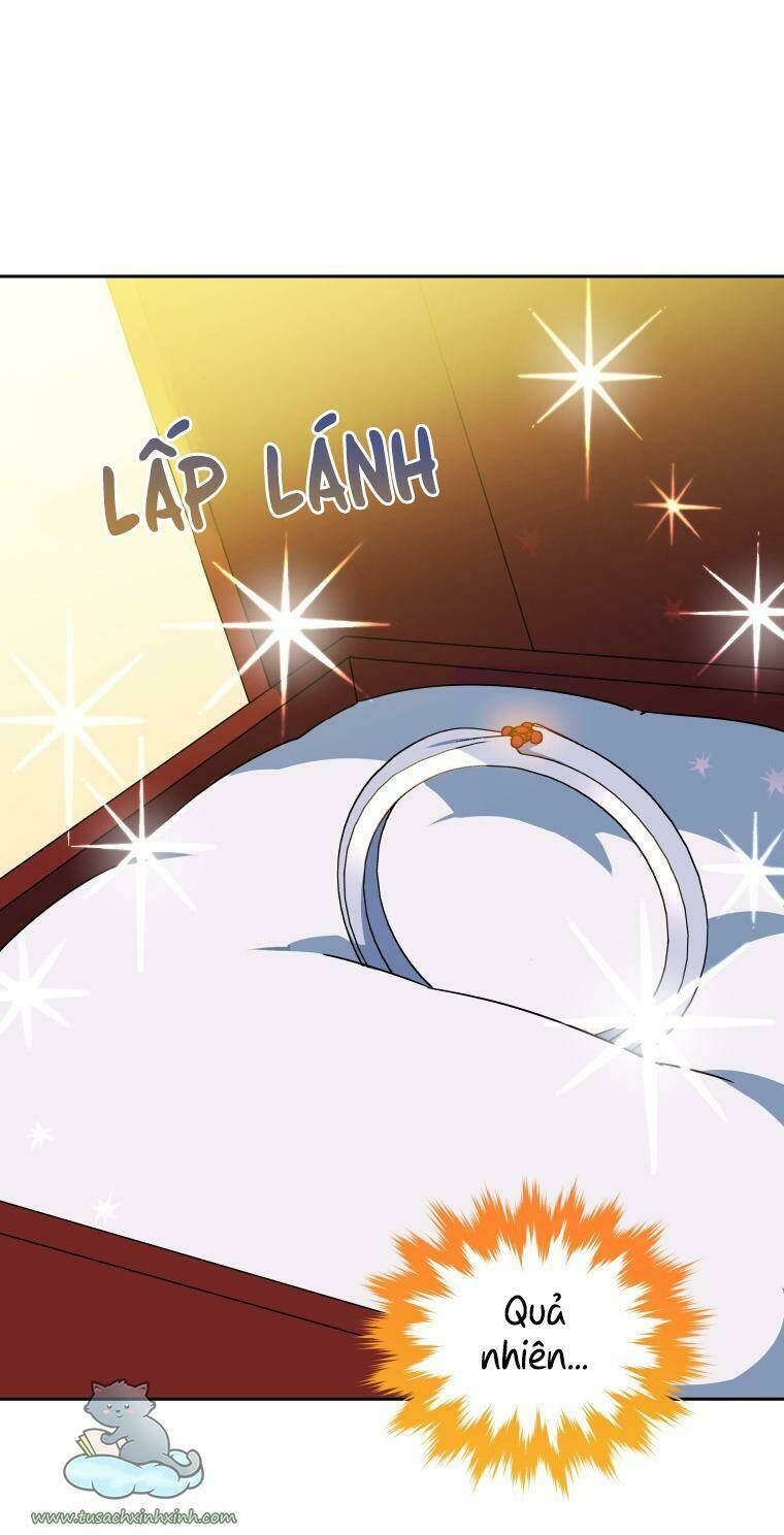 Nàng Elizabeth Thuần Khiết - Chapter 40 - Page 47