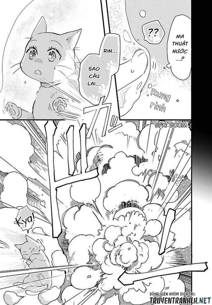 Fukushuu Wo Chikatta Shironeko Wa Ryuuou No Hiza No Jou De Damin Wo Musaboru - Chapter 18 - Page 29