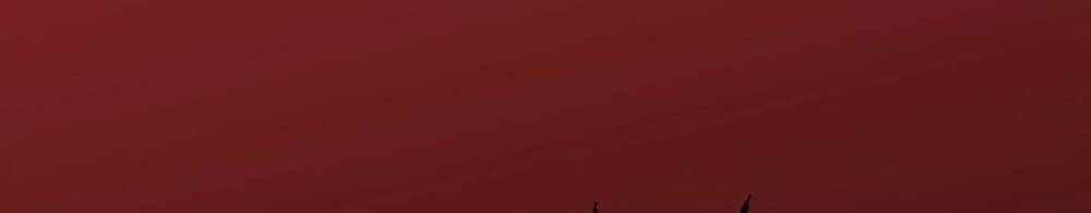 Thời Kỳ Tận Thế - Chapter 2 - Page 13