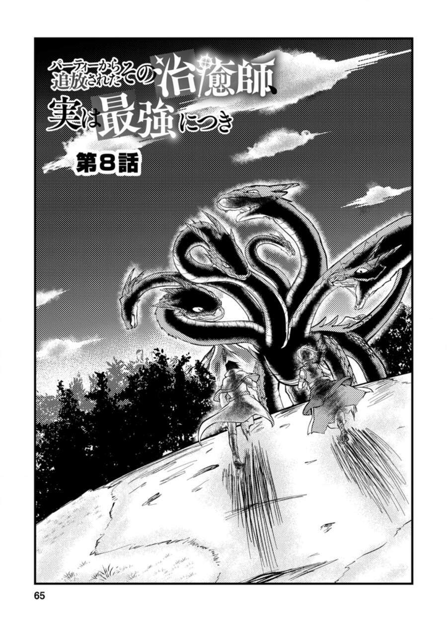 Party Kara Tsuihou Sareta Sono Chiyushi, Jitsu Wa Saikyou Nitsuki - Chapter 8 - Page 4