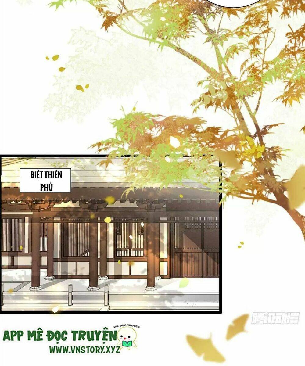 Phượng hoàng vu phi - Chapter 124 - Page 15