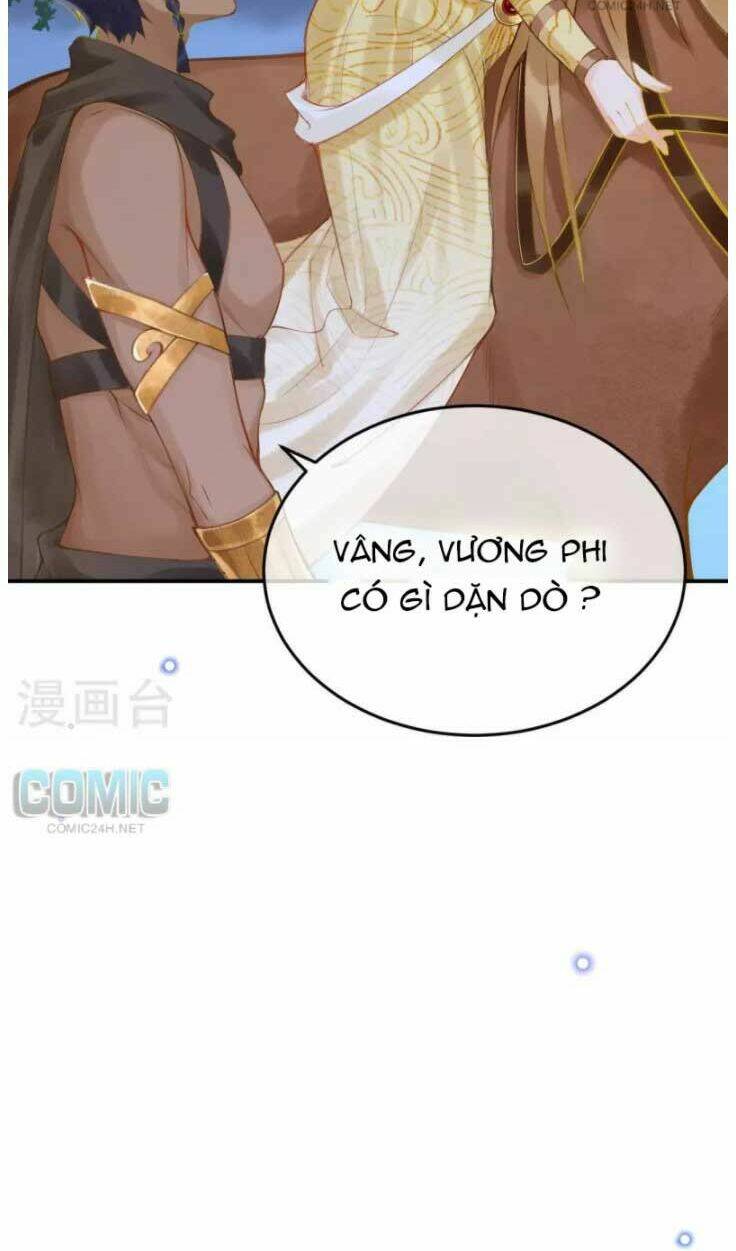 Xuyên Đến Ai Cập : Trở Thành Cô Dâu Của Vương - Chapter 47 - Page 14