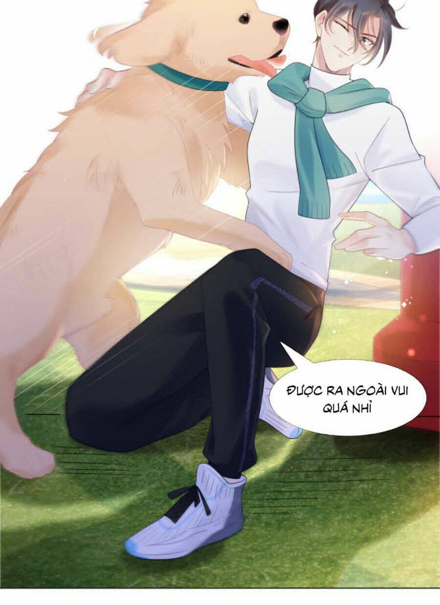 Diêu Diêu Yêu Dấu, Cuối Cùng Sủng Được Em Rồi - Chapter 2 - Page 4