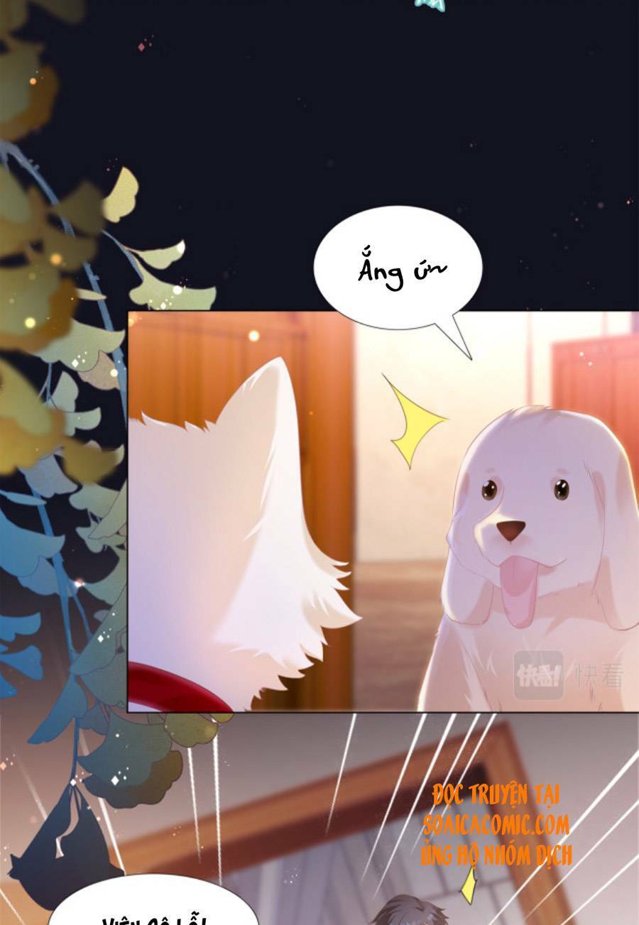Diêu Diêu Yêu Dấu, Cuối Cùng Sủng Được Em Rồi - Chapter 30 - Page 8