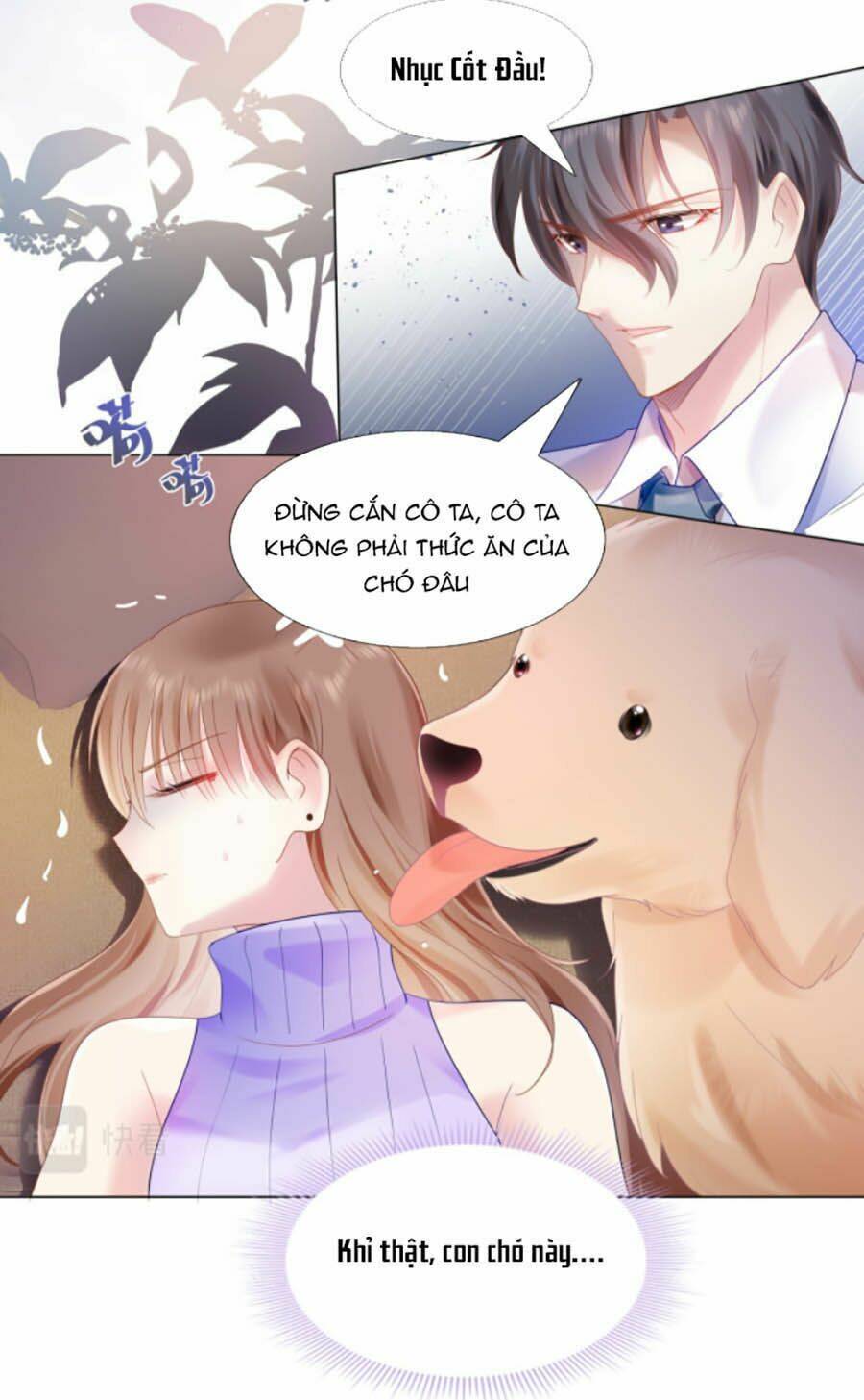 Diêu Diêu Yêu Dấu, Cuối Cùng Sủng Được Em Rồi - Chapter 5 - Page 13