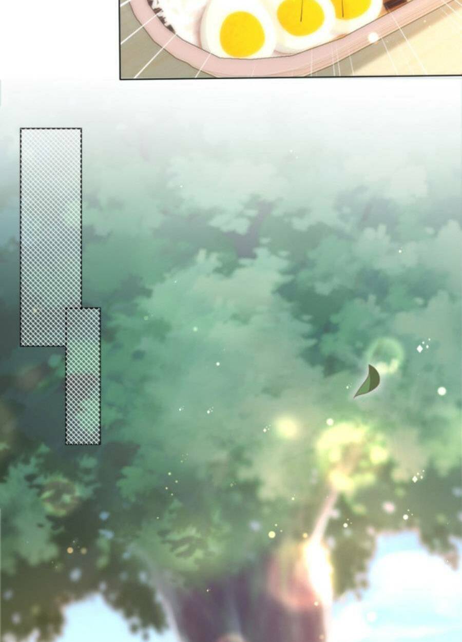 Diêu Diêu Yêu Dấu, Cuối Cùng Sủng Được Em Rồi - Chapter 50 - Page 5