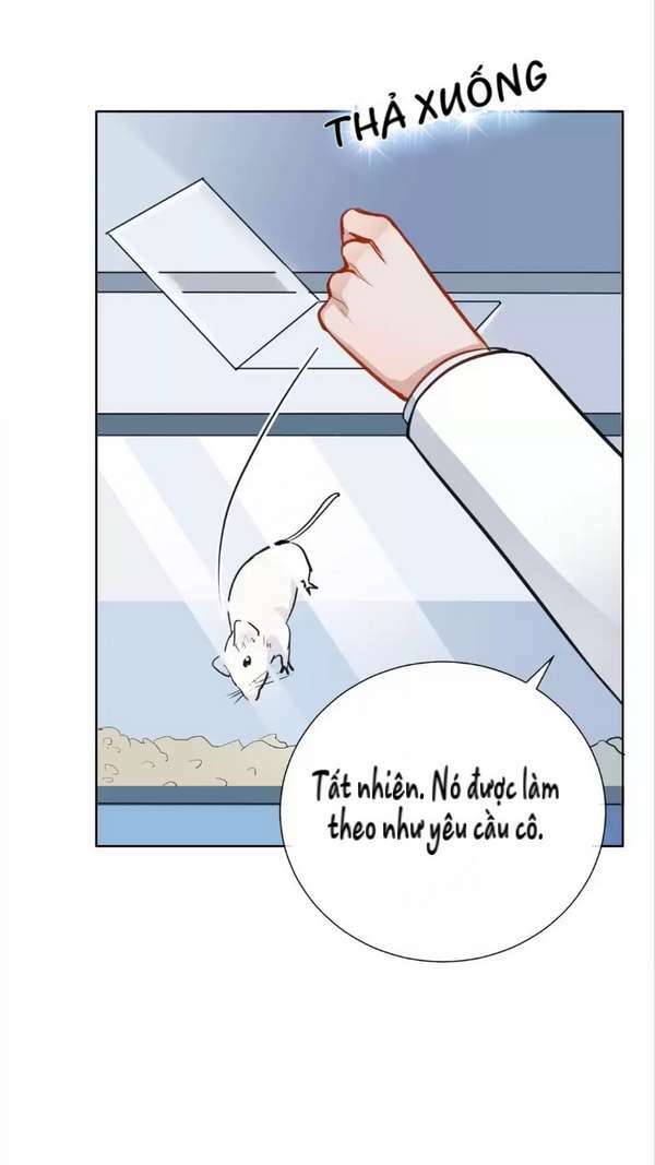 Nữ Hoàng Nửa Mặt - Chapter 10 - Page 19