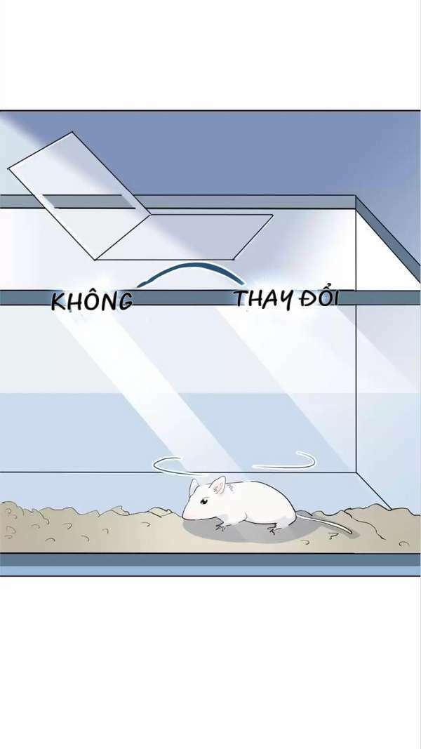 Nữ Hoàng Nửa Mặt - Chapter 10 - Page 20