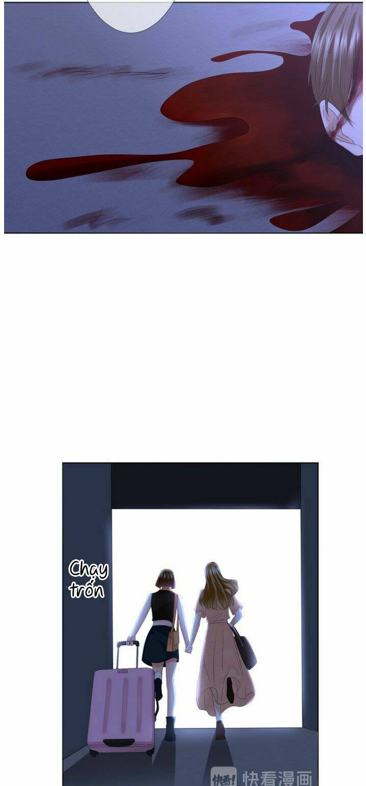 Danh Môn Chí Ái - Chapter 141 - Page 4