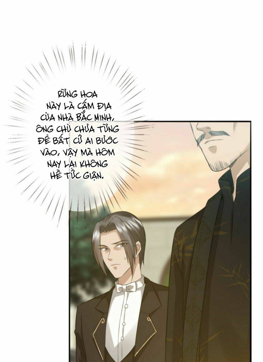 Danh Môn Chí Ái - Chapter 185 - Page 13