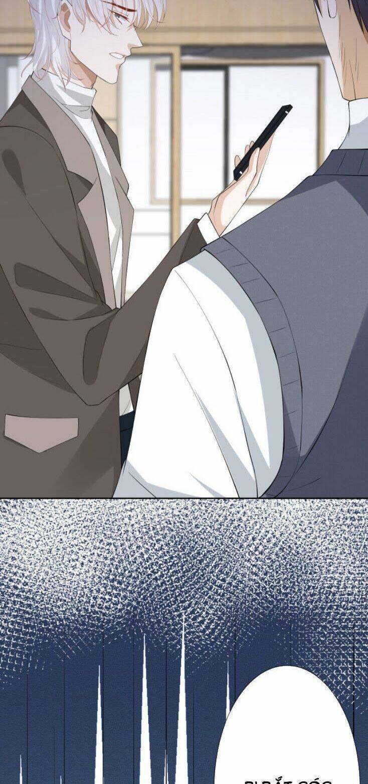 Danh Môn Chí Ái - Chapter 241 - Page 35