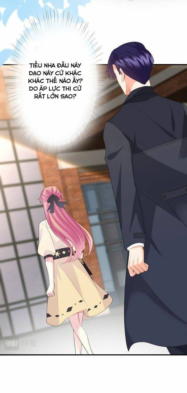 Danh Môn Chí Ái - Chapter 247 - Page 24