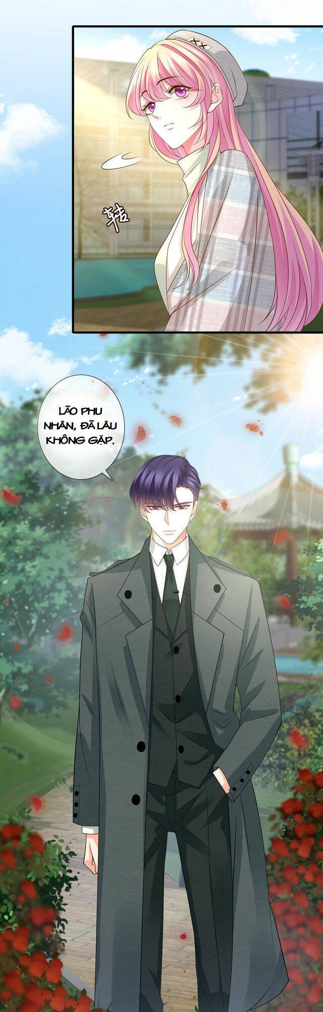 Danh Môn Chí Ái - Chapter 269 - Page 4