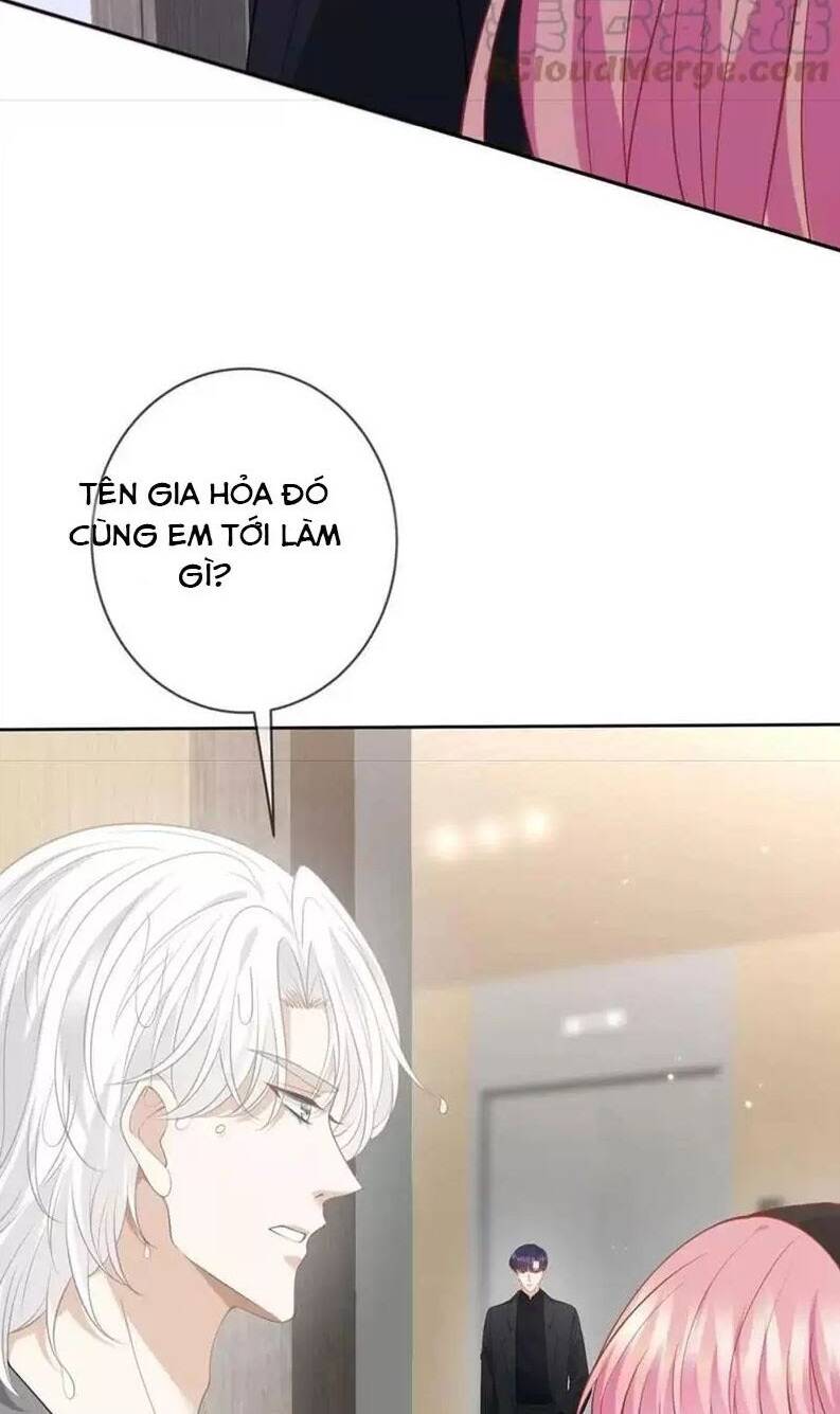 Danh Môn Chí Ái - Chapter 434 - Page 29