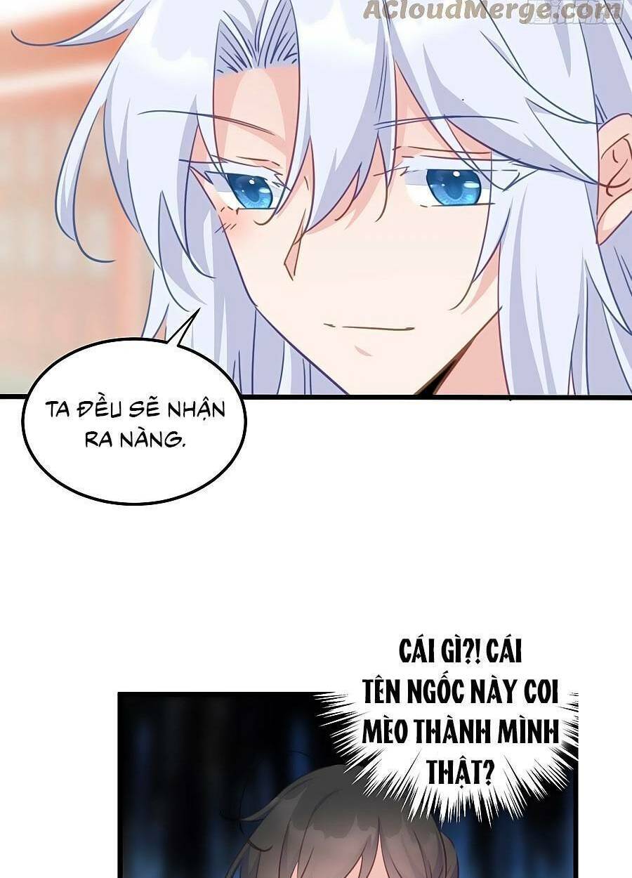 Bạo Sủng Tiểu Manh Phi - Chapter 120 - Page 6